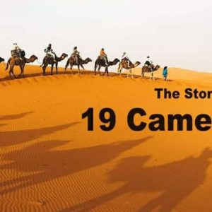the story of 19 camels