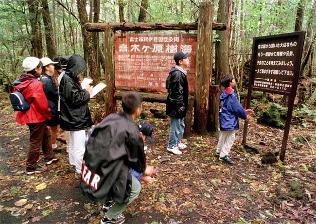 Japan The Aokigahara 'suicide forest'