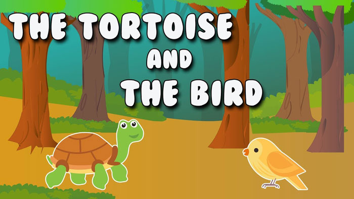 Moral Story: The Tortoise And The Bird