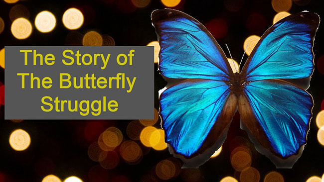 'A butterfly’s struggle' short inspirational story