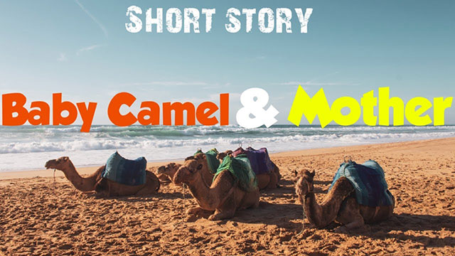 'Baby Camel and Mother' short inspirational story
