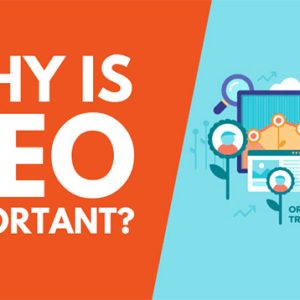 What is SEO? Why is SEO Important to Businesses